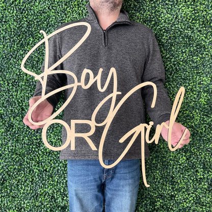 Boy or Girl Gender Reveal Party Backdrop Decor - Baby Shower Decor - Baby Announcement Photo Prop