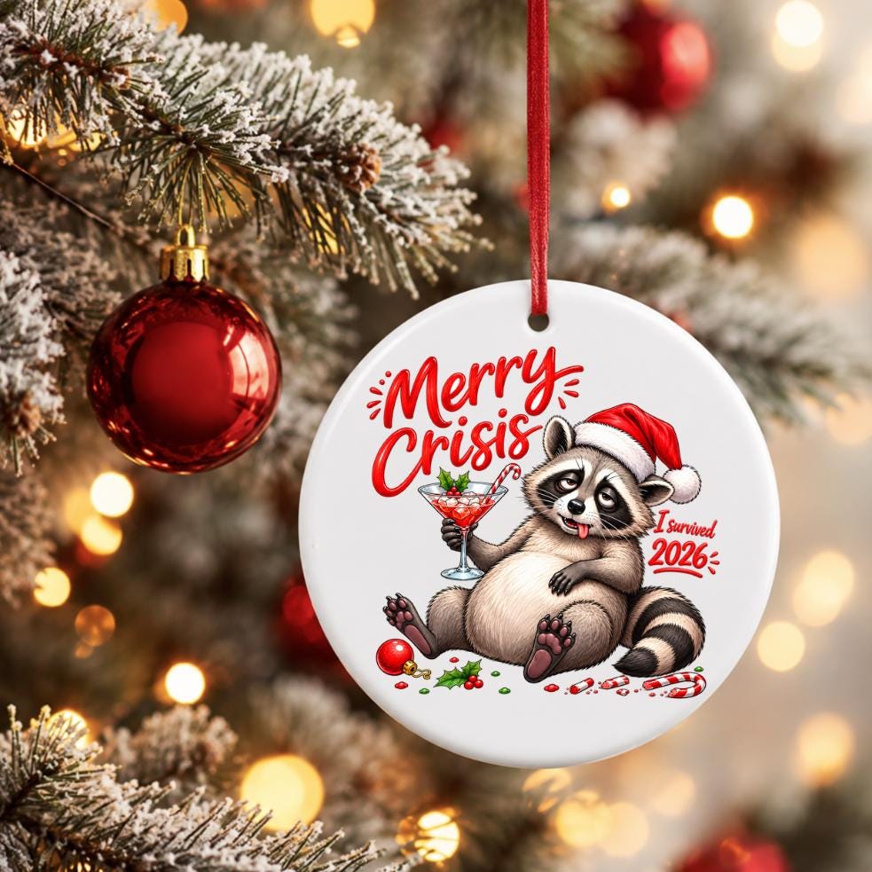 Funny Raccoon Christmas Ornament 2026, Merry Crisis Ornament, I Survived 2026 Gift, Sarcastic Holiday Ornament, Funny Christmas Gift